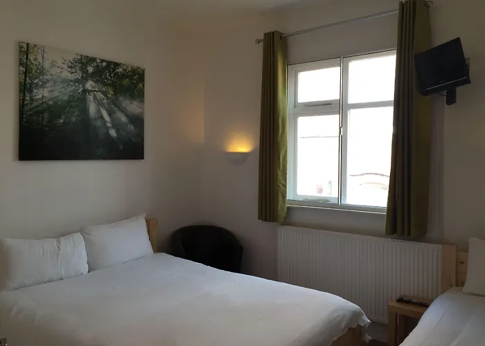 New Union Adults Only 3*