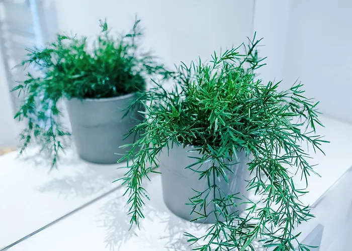 Stylish 1-bed Fast Wi-fi Easy Access To * Manchester