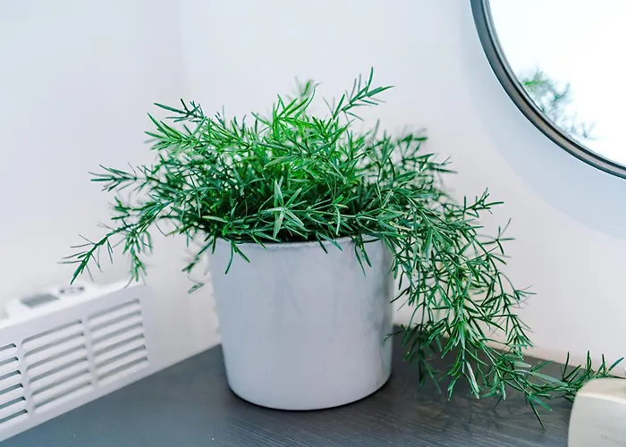 Lägenhet Modern 2br Parking Great Location & Amenities