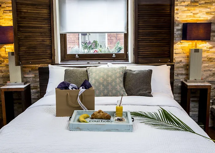 The Cow Hollow Hotel