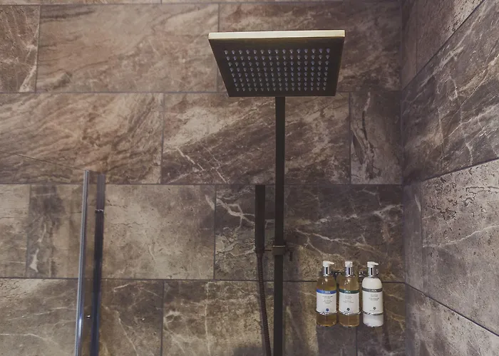 The Cow Hollow 호텔 4*