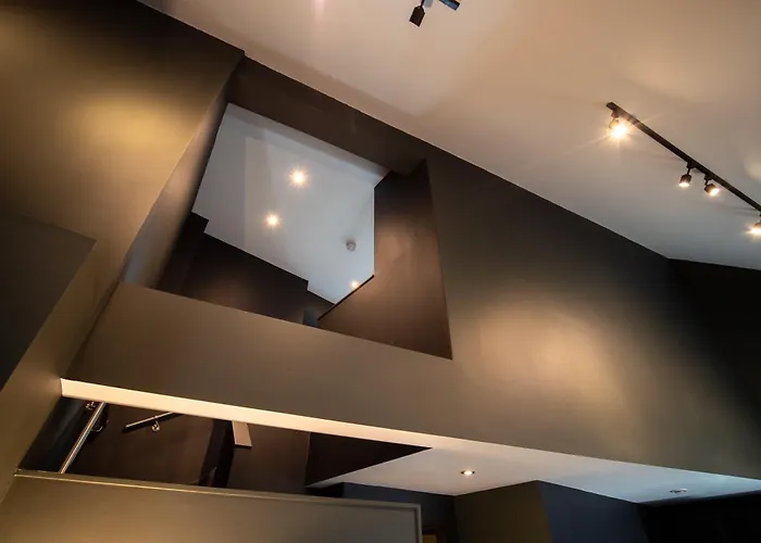 Urban Jungle By Domu