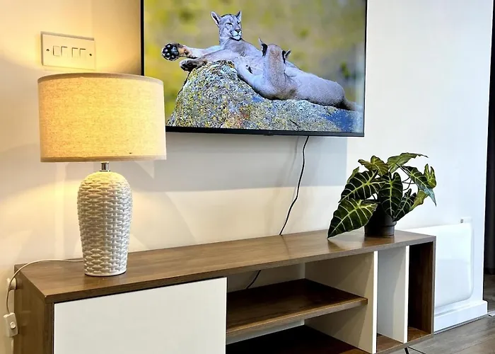 Serviced Near Ao Arena Apartment Manchester