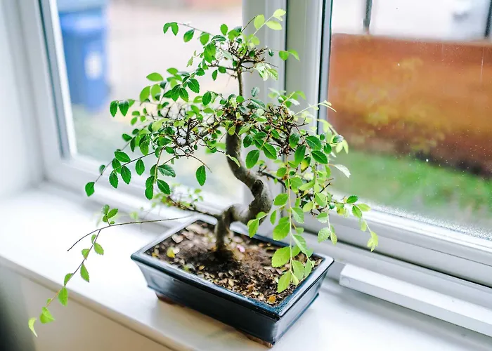 Stunning Salford Quays Parking & Wifi דירה *