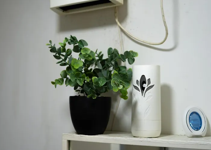 Modern 3-bedroom Near Centre