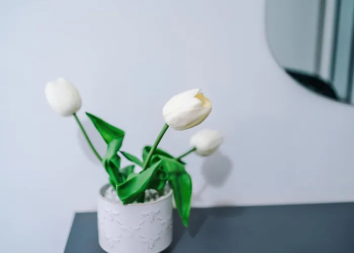 Large 2 Bedroom With Balcony By Host A 맨체스터