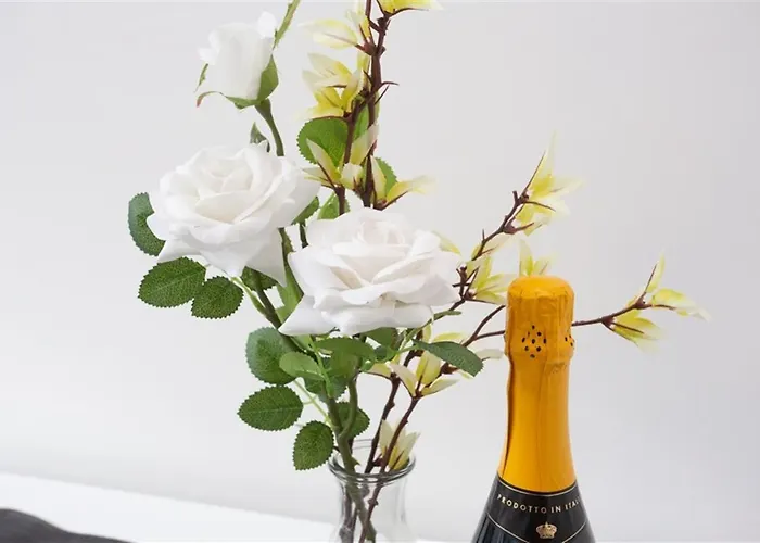 Blue Haven 2 * Manchester