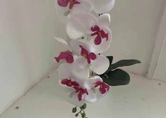 10 Whiteway Street Privat bolig