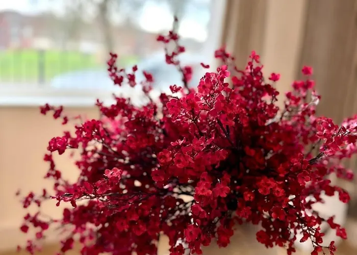 Сasa de vacaciones Modern And Comfy 3 Bed Near Etihad And Coop Live Arena Mánchester