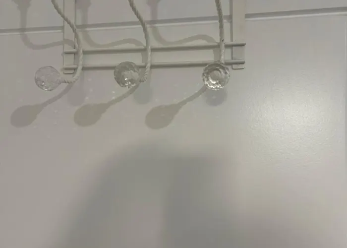 Princess Shahzadi * 曼彻斯特