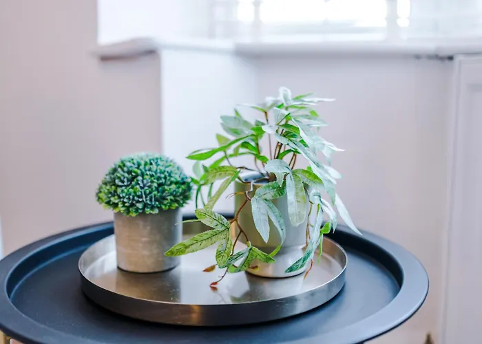 Free Park Stunning 3bedroom In 曼彻斯特