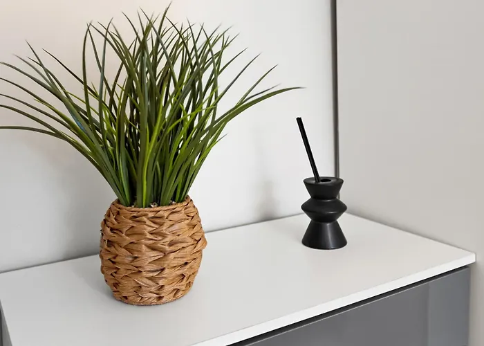 Lux 2bd, Free Parking & Wifi, Near Mcr Center And Media *