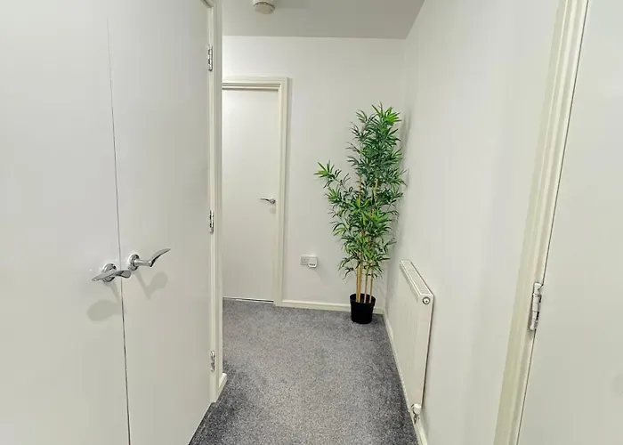 The Citylive Coop Arena Apartment Manchester