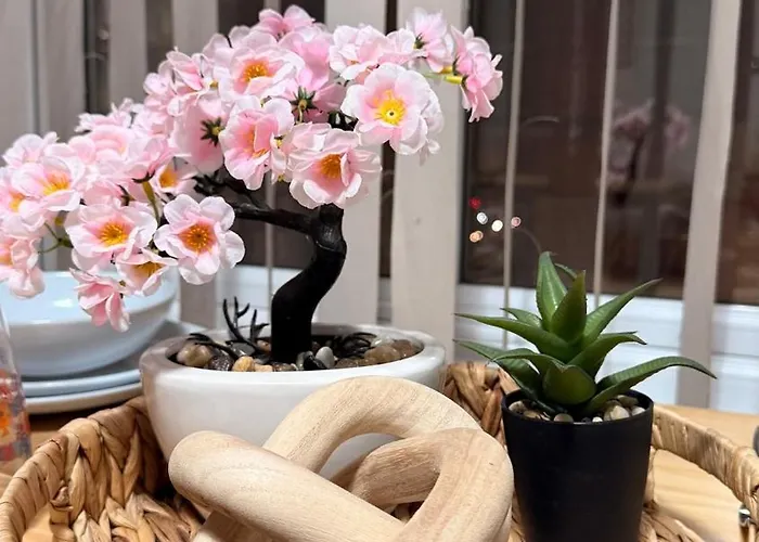 Dakota Sioux Centre S… - 20889 * Manchester