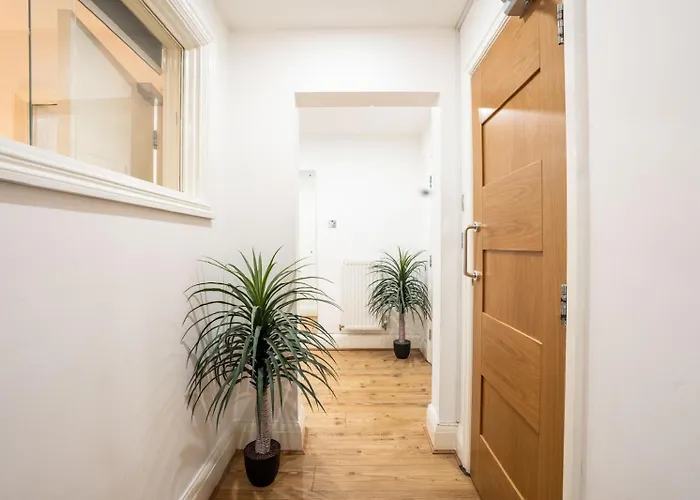 Stylish Modern In The Heart Of The