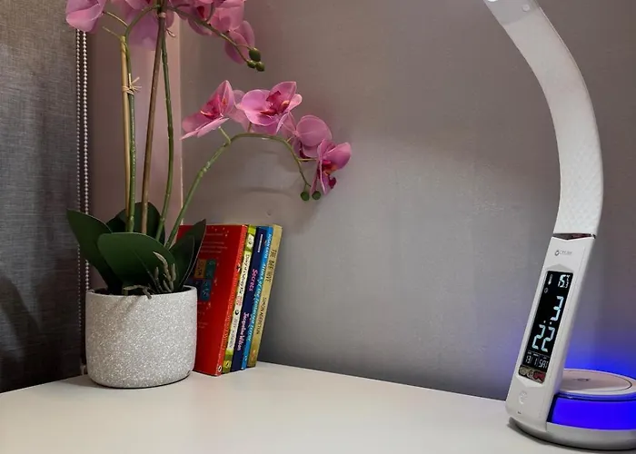 Luxury 2-bed Apartment,office With Built-in Tv King Bed, Private Entrance And Free Parking *