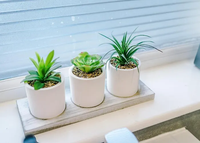 Luxury 2 Bed Close To Coop Etihad And Centre * Manchester