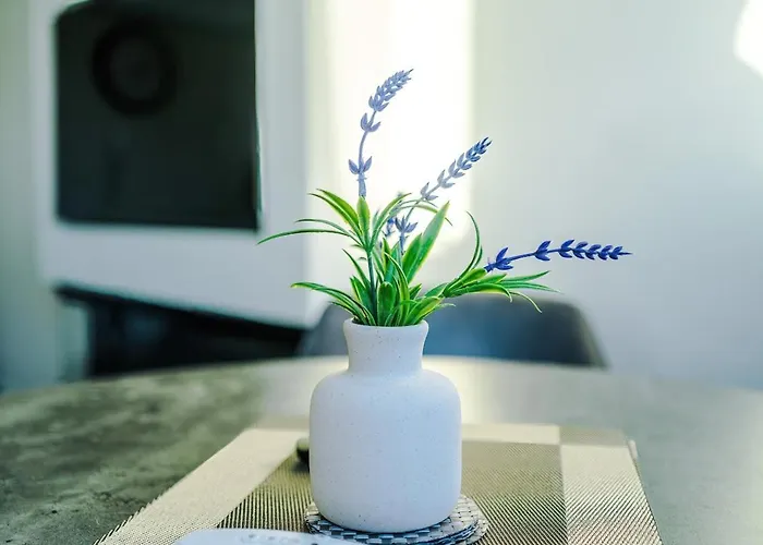 1br By Kammili - Near Centre, Universities & Hospital