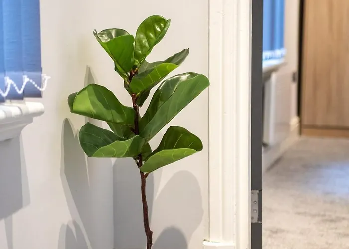 Manchester Resort Διαμέρισμα *