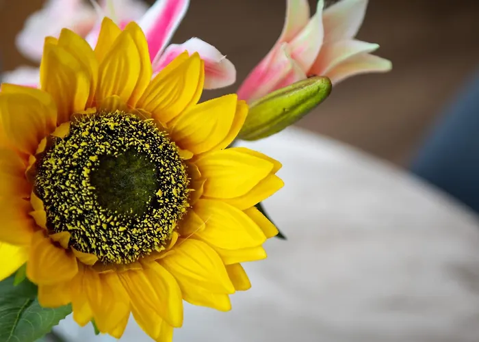 Διαμέρισμα Manchester Resort