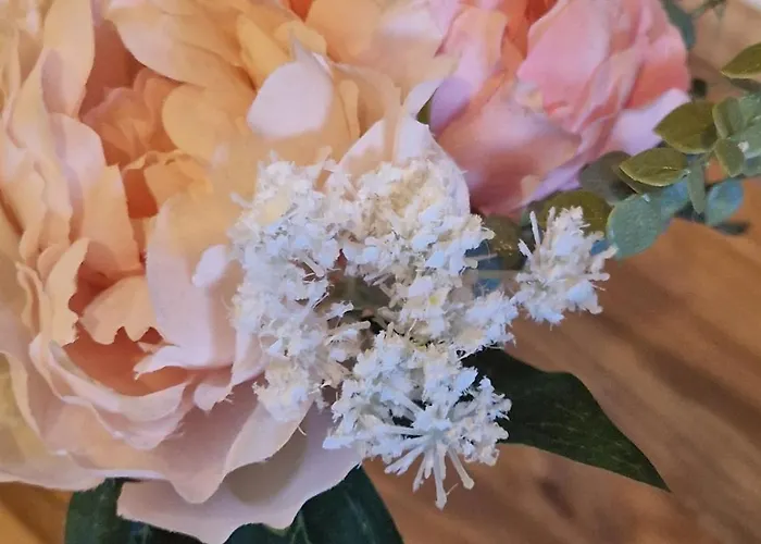 Greenland 62 * Mánchester