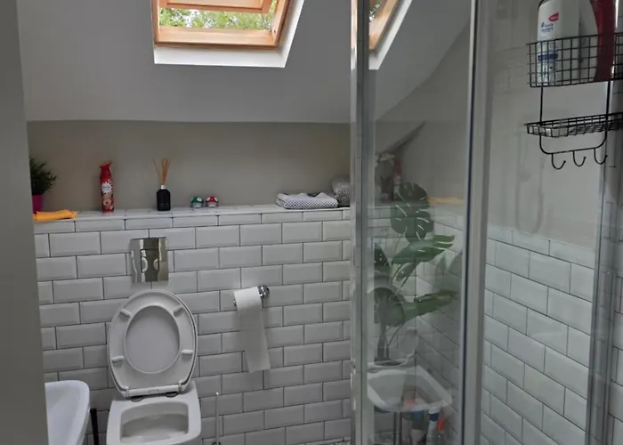 Shaun The Sheep Alloggio in famiglia Manchester