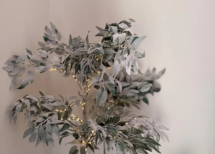 Flat In - Dudleys Dove Manchester