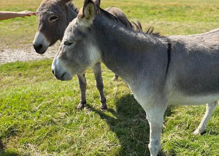 Holiday home Farm Retreat