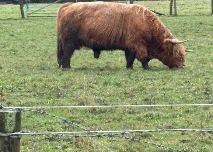 Holiday home Farm Retreat