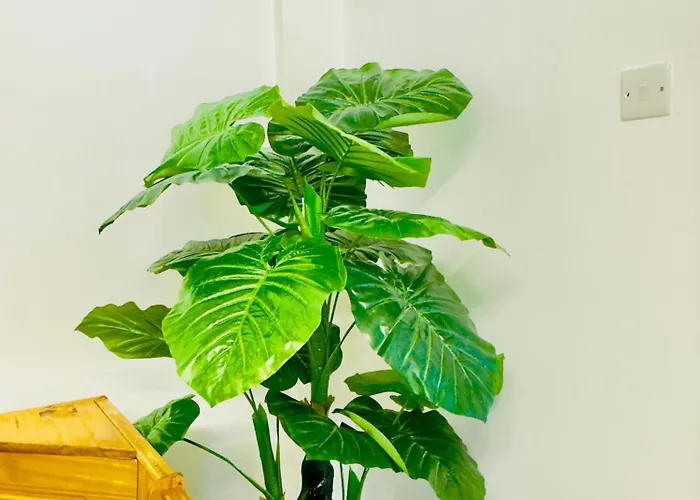 Stylish 4 Bedrome House - Free Parking Holiday home