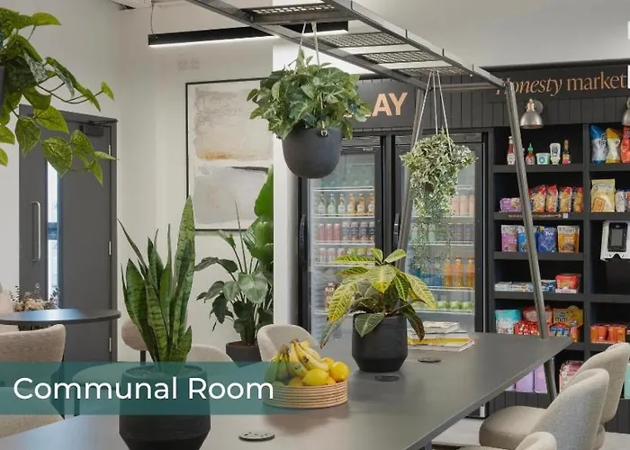 Bluebird The Claymore *