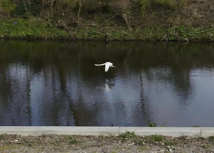 Riverside Villas * Manchester