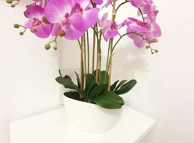 Manchester Holiday Apartment Daire *