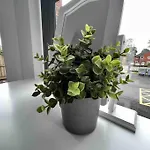 Apartmán Free Parking - Cosy 2-br Flat Near Salford Royal Manchester