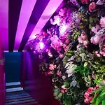 Manchester's Only Themed Slumber Party For 8 With Makeup Apartment *