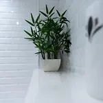 Hive Near Etihad Coop Live Manchester