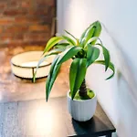 Converted Mill, Stylish In Castlefield Lejlighed