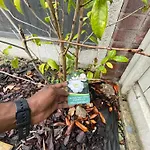 Spacious 2 Bed House In Manchester With Private Parking Mánchester