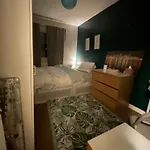 Comfortable Cat-friendly With Garden & Parking