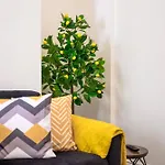 Bright And Cosy 3-bedroom Near - Free Parking - Sleeps 6 Manchester