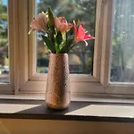 Luxury Free Wifi Old Trafford Séjour chez l'habitant