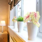 Modern Two-bedroom House Close To Centre Lejlighed *