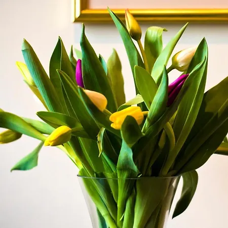 宾馆 Bowling 曼彻斯特