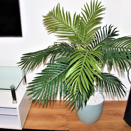 Mosh Homes Appartement