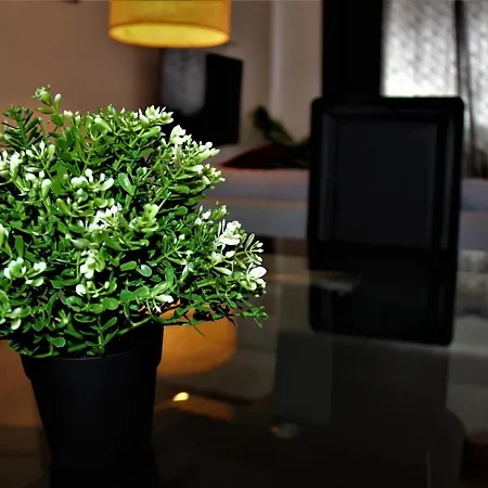 Appartement Mosh Homes *