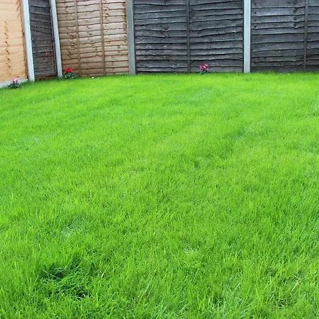 Mosh Homes * Manchester