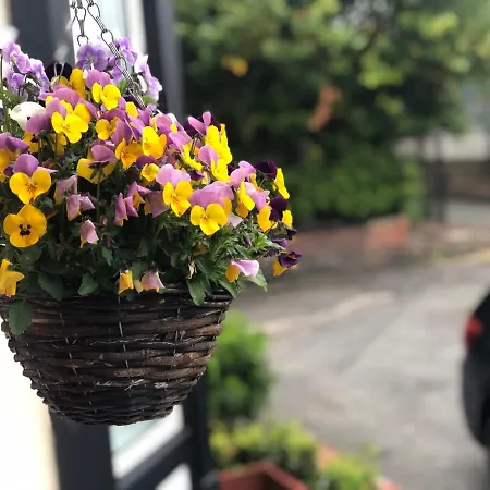 Penzion Hendham House - Near Etihad Stadium, Coop Live Arena, Ao Arena, Piccadilly Train Station & Centre