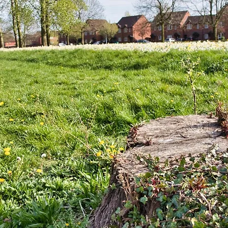 Modern House, Spacious Garden, With Netflix, Center Holiday home Manchester