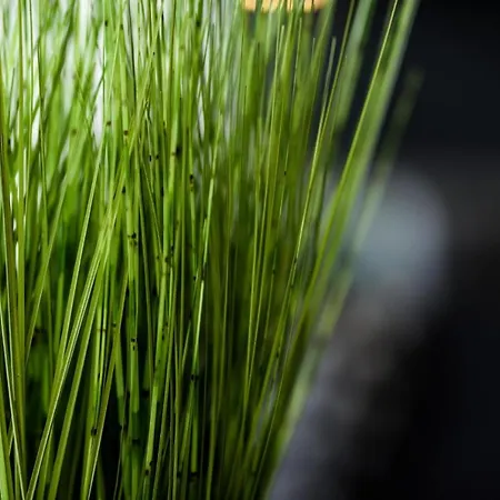 Onpoint - Spacious 2 Bedroom Apt - City Centre With Balcony