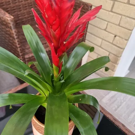 別荘 Great Value Comfort Free Parking Near マンチェスター